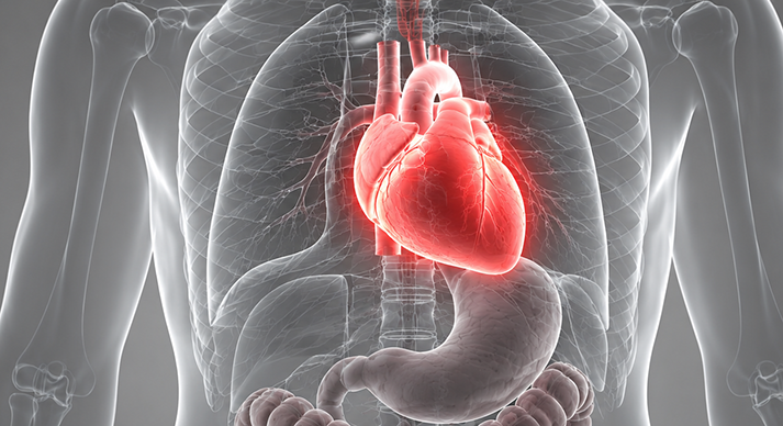 Cardiologia Imagem Cardiologia