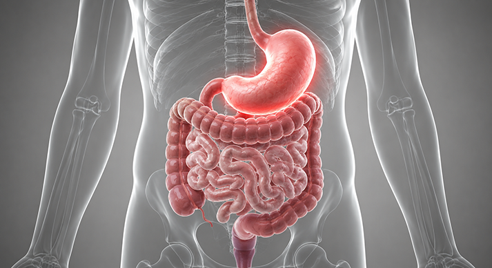 Cirurgia do Aparelho Digestivo Imagem Cirurgia do Aparelho Digestivo