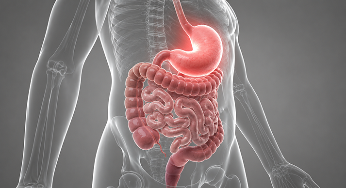 Gastroenterologia Imagem Gastroenterologia