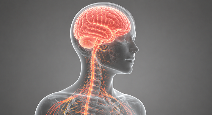 Neurologia Imagem neurologia